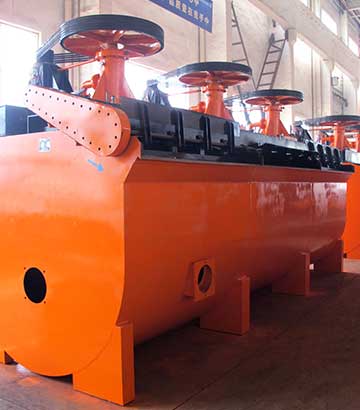 �����ѡ��