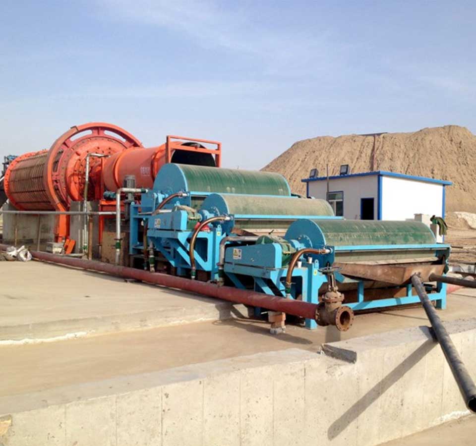 ������ѡ����