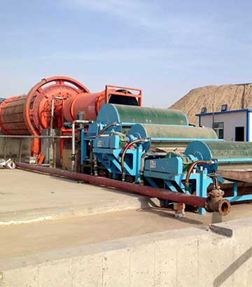 ������ѡ����